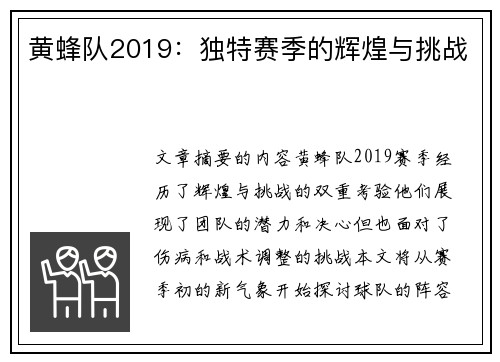 黄蜂队2019：独特赛季的辉煌与挑战